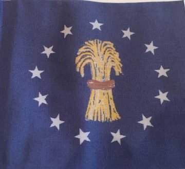South Carolina Naval Ensign Flag 
